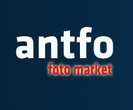 Antfo Foto